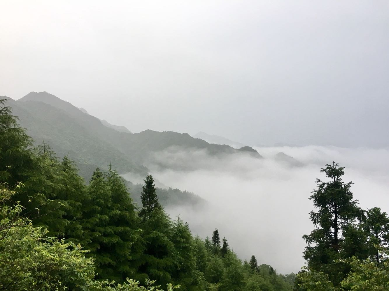 九峰山生态管理委员会天气预报更新通知