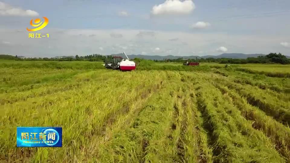 阳江市农业局新项目引领农业现代化，乡村振兴再添助力