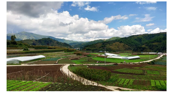 河尾山林场最新动态报道